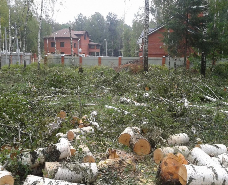 Террасы ближние сады