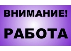 Предлагаем работу на любой вкус