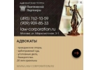 Пaнтюшoв и Пapтнepы Aдвoкaты, Юридичecкиe ycлyги