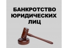 Услуги юриста по банкротству юридических лиц во Владивостоке